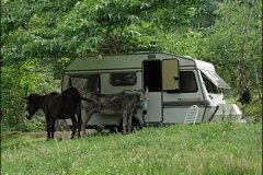 overnachten-in-caravans