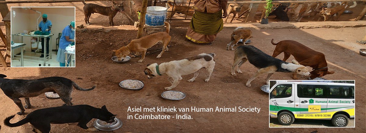 Dierenstages Coimbatore India